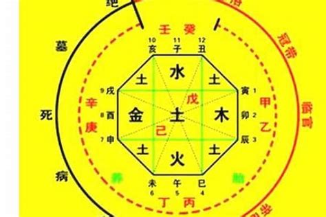 喜火的人|八字五行喜火什么意思？八字五行喜火之人如何增运？。